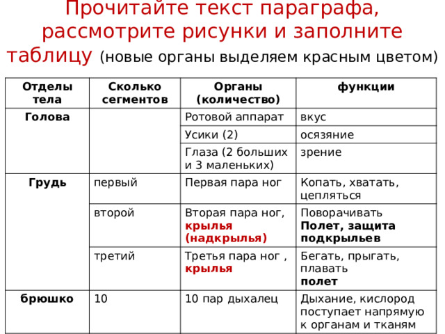 Прочитайте текст параграфа, рассмотрите рисунки и заполните таблицу Отделы тела Сколько сегментов Голова Органы (количество) функции Грудь брюшко 