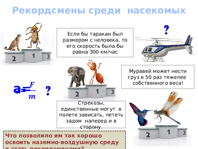 Рекордсмены среди насекомых Если бы таракан был размером с человека, то его скорость была бы равна 300 км/час Муравей может нести груз в 50 раз тяжелее собственного веса!  a=   Стрекозы, единственные могут в полете зависать, лететь задом наперед и в сторону. Что позволило им так хорошо освоить наземно-воздушную среду и стать рекордсменами? 