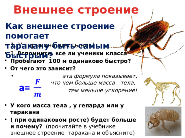 задачи Чтобы ответить на эти вопросы, что мы с вами должны изучить на уроке?     Знания каких школьных предметов нам могут пригодиться? a=   