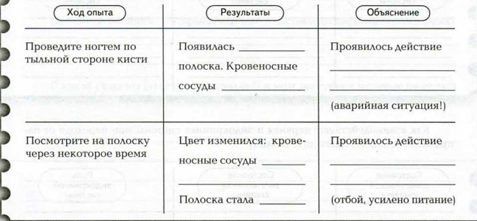 Штриховое раздражение кожи лабораторная работа 8 класс