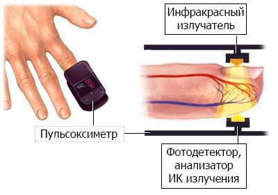 Биологическая грамотность что это такое. 1643368 6. Биологическая грамотность что это такое фото. Биологическая грамотность что это такое-1643368 6. картинка Биологическая грамотность что это такое. картинка 1643368 6.