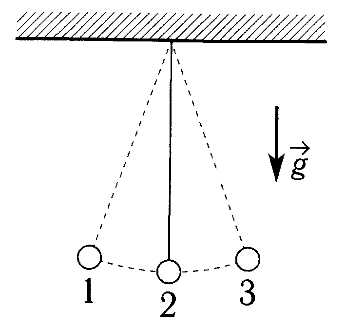 Математический маятник колеблется между положениями 1 и 3 см рисунок в положении 2