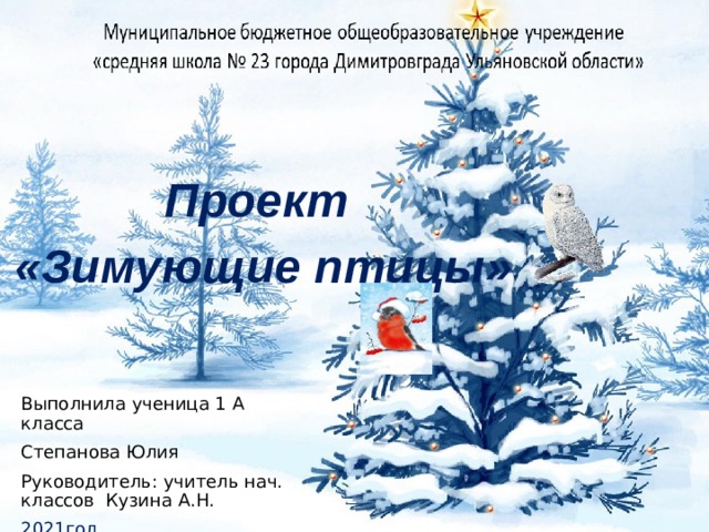 Зима проект детский сад