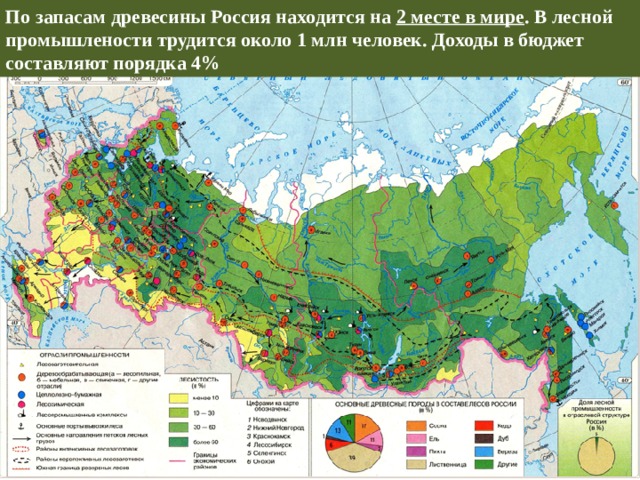 Лесная промышленность география 9