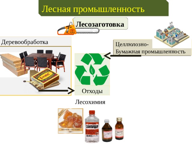 Продукция лесной промышленности