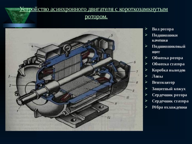 Устройство асинхронного двигателя с короткозамкнутым ротором. Вал ротора Подшипники качения Подшипниковый щит Обмотка ротора Обмотка статора Коробка выводов Лапы Вентилятор Защитный кожух Сердечник ротора Сердечник статора Рёбра охлаждения 