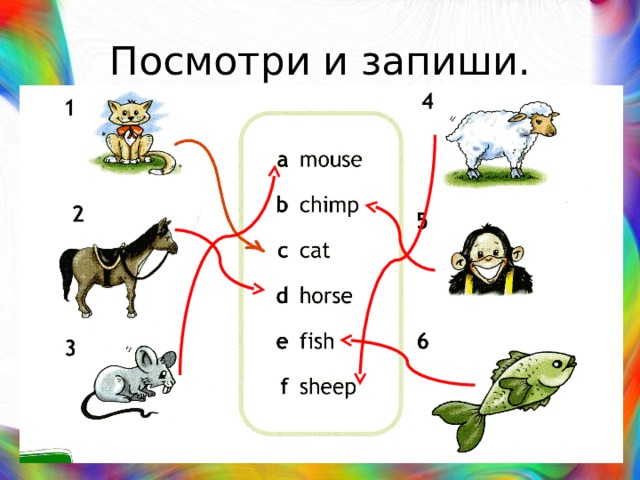 Посмотри и запиши. 