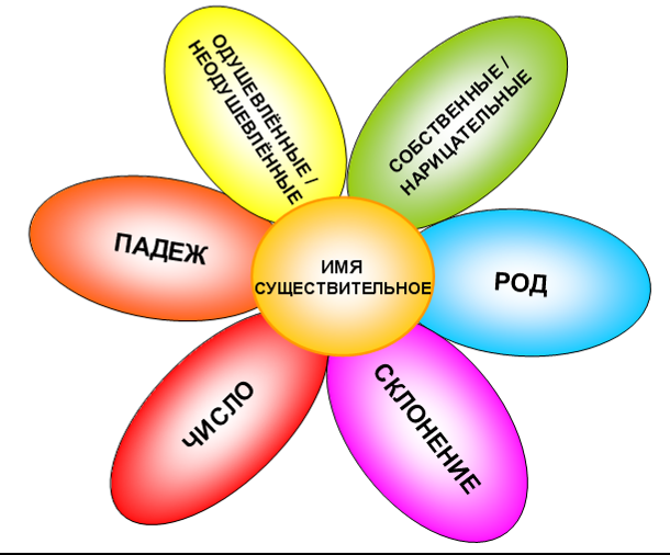Схема имя прилагательное 5 класс