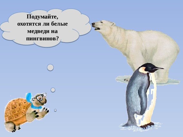 Охотятся ли медведи на пингвинов окружающий мир. Белый медведь охотится на пингвинов. Охотятся ли белые медведи на пингвинов. Медведи охотятся на пингвинов. Белый медведь и Пингвин.
