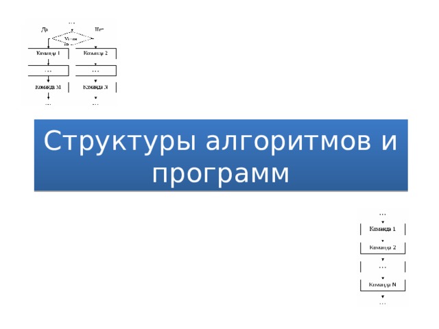 Структуры алгоритмов и программ 