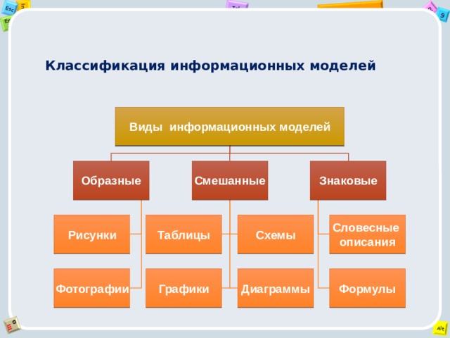      Классификация информационных моделей   Виды информационных моделей Образные Знаковые Смешанные Рисунки Таблицы Схемы Словесные   описания Фотографии Графики Диаграммы Формулы 
