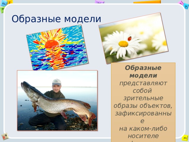 Образные модели Образные модели представляют собой  зрительные образы объектов, зафиксированные  на каком-либо носителе информации. 