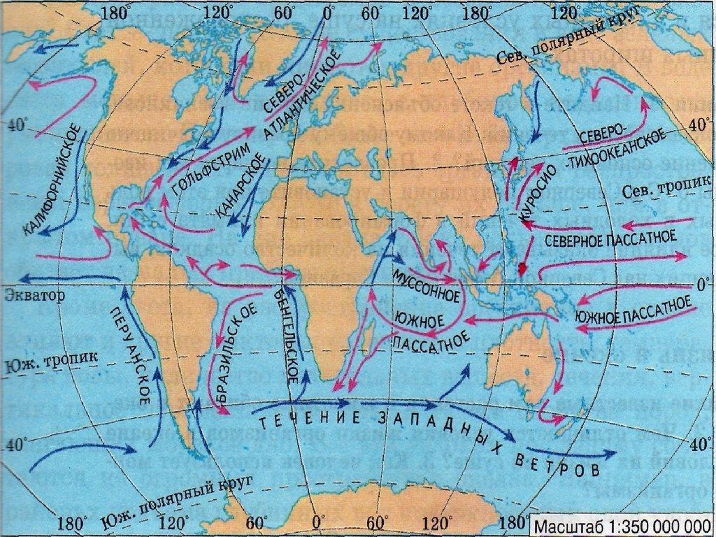 Калифорнийское течение холодное. Тёплые течения мирового океана на карте. Теплые и холодные течения мирового океана. Куросио течение на карте. Тёплые и холодные течения на карте мирового океана.