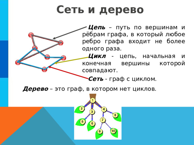 Сеть и дерево Цепь – путь по вершинам и рёбрам графа, в который любое ребро графа входит не более одного раза. Цикл - цепь, начальная и конечная вершины которой совпадают. Сеть - граф с циклом. Дерево – это граф, в котором нет циклов. 