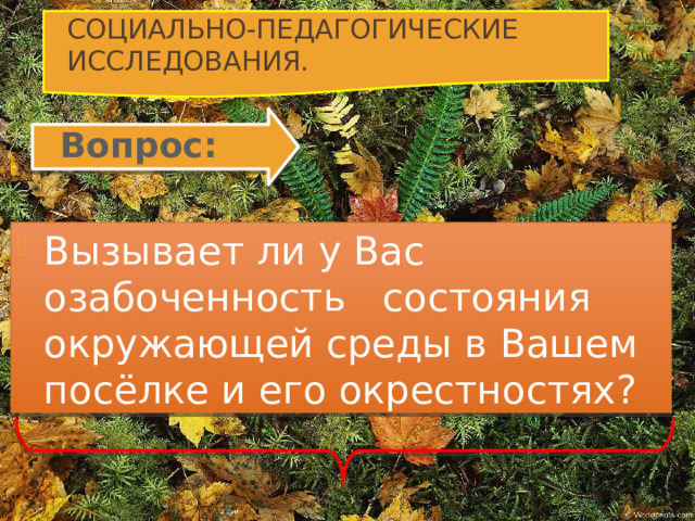 Социально-педагогические исследования.   Вопрос: Вызывает ли у Вас озабоченность состояния окружающей среды в Вашем посёлке и его окрестностях? 