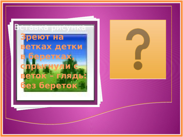 Вставка рисунка Зреют на ветках детки в беретках, спрыгнули с веток – глядь: без береток   