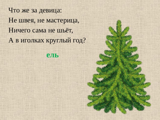 Что же за девица: Не швея, не мастерица, Ничего сама не шьёт, А в иголках круглый год? ель 