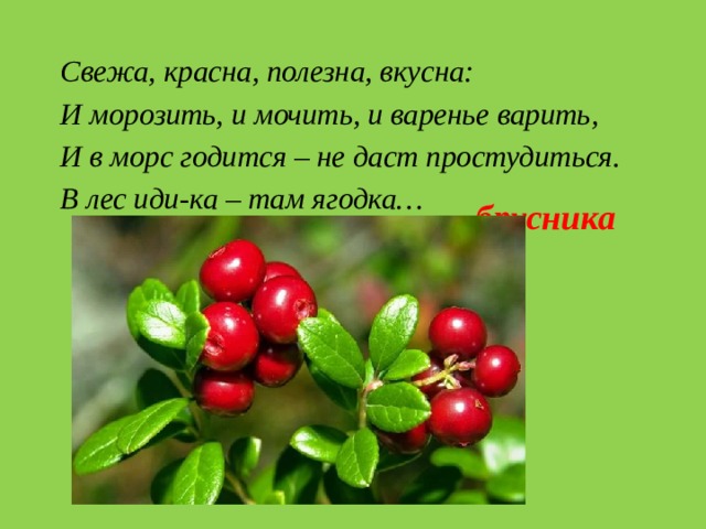 Цитаты про ягоды. Загадки про ягоды. Памятка про ягоды.