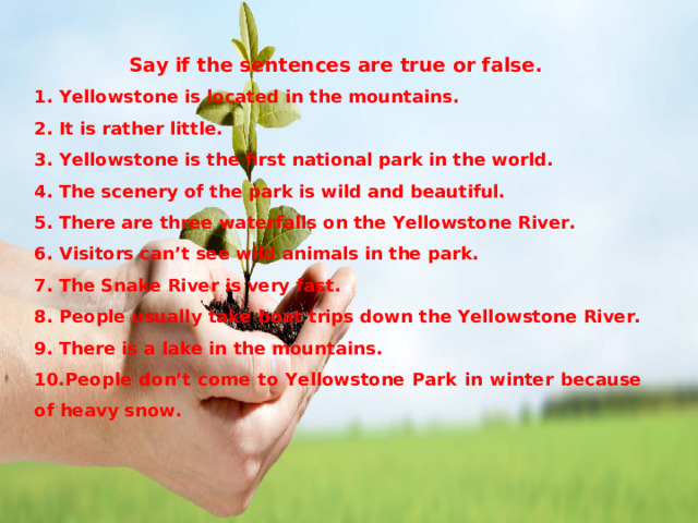  Say if the sentences are true or false. 1. Yellowstone is located in the mountains. 2. It is rather little. 3. Yellowstone is the first national park in the world. 4. The scenery of the park is wild and beautiful. 5. There are three waterfalls on the Yellowstone River. 6. Visitors can’t see wild animals in the park. 7. The Snake River is very fast. 8. People usually take boat trips down the Yellowstone River. 9. There is a lake in the mountains. 10.People don’t come to Yellowstone Park in winter because of heavy snow. 