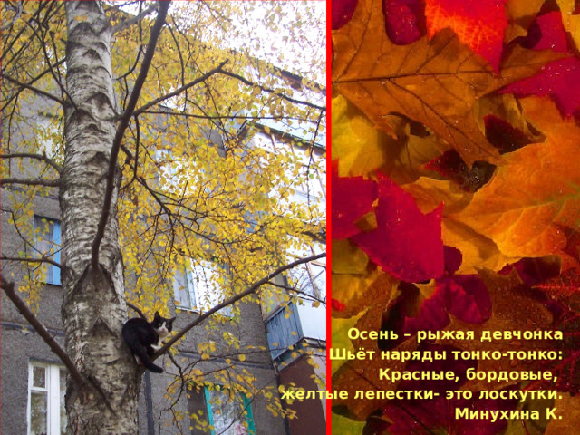 Осень – рыжая девчонка Шьёт наряды тонко-тонко: Красные, бордовые, желтые лепестки- это лоскутки. Минухина К. 