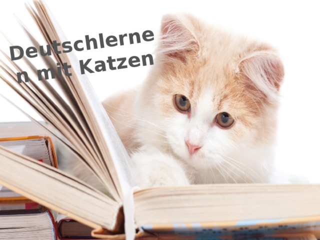 Deutschlernen mit Katzen 