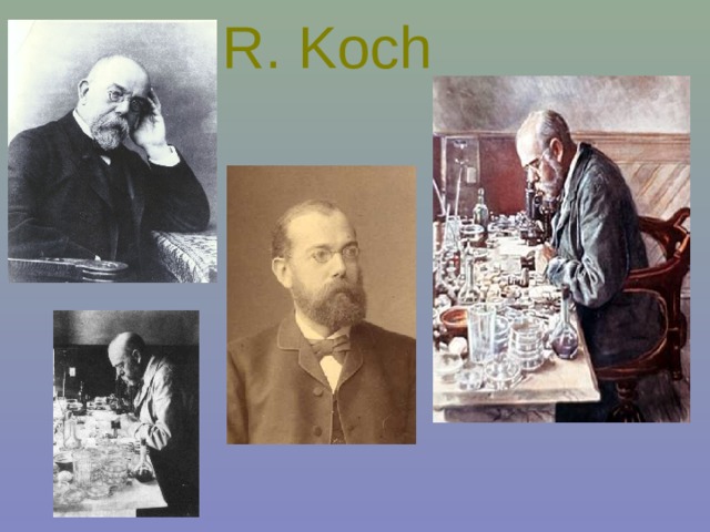 R. Koch  