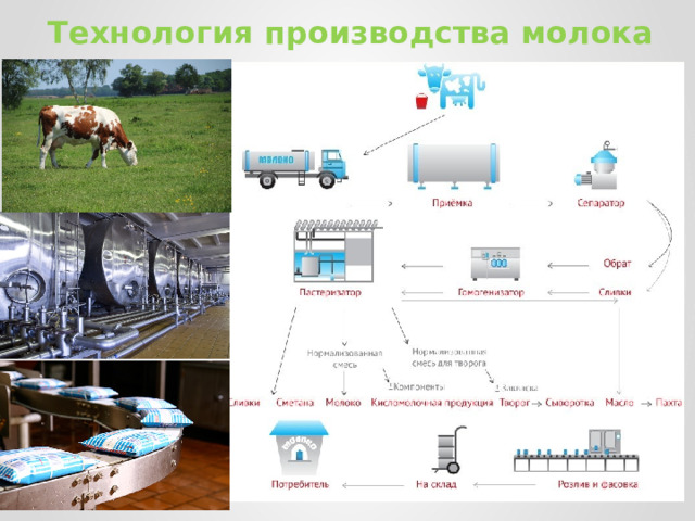 Технология производства молока 