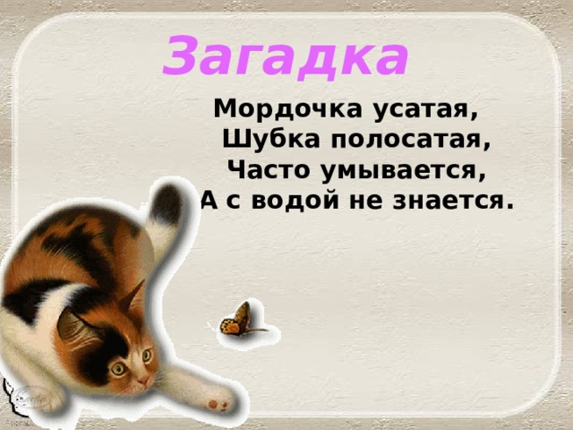 Загадка Мордочка усатая,  Шубка полосатая,  Часто умывается,  А с водой не знается.   