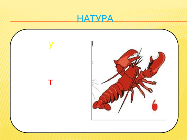 натура у т 