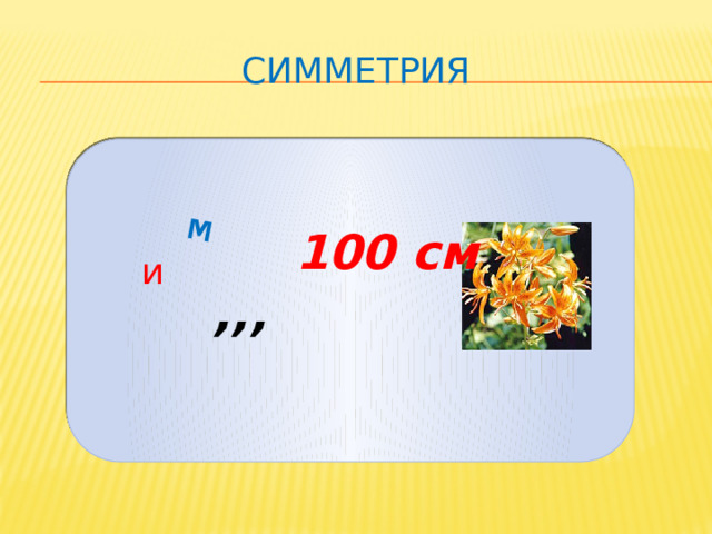 м Симметрия   100 см ,,,  и 