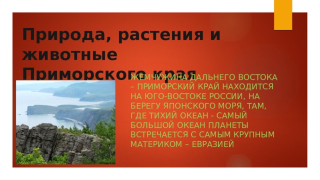 Природа, растения и животные Приморского края Жемчужина Дальнего Востока – Приморский край находится на юго-востоке России, на берегу Японского моря, там, где Тихий океан - самый большой океан планеты встречается с самым крупным материком – Евразией 