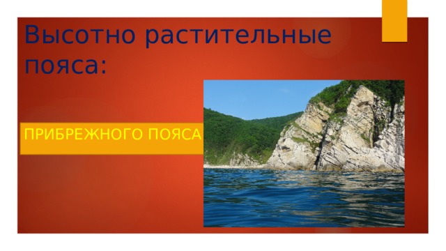 Высотно растительные пояса: прибрежного пояса 