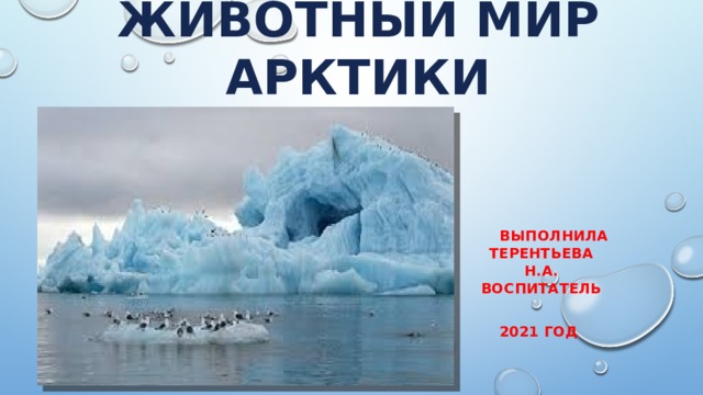 Презентация растительный и животный мир вологодской области