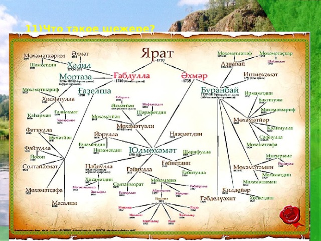 Башкирские рода список шежере 3 аксуваша. Шежере родословная. Башкирская родословная Шежере. Шежере генеалогическое Древо. Шежере родословная на башкирском языке.