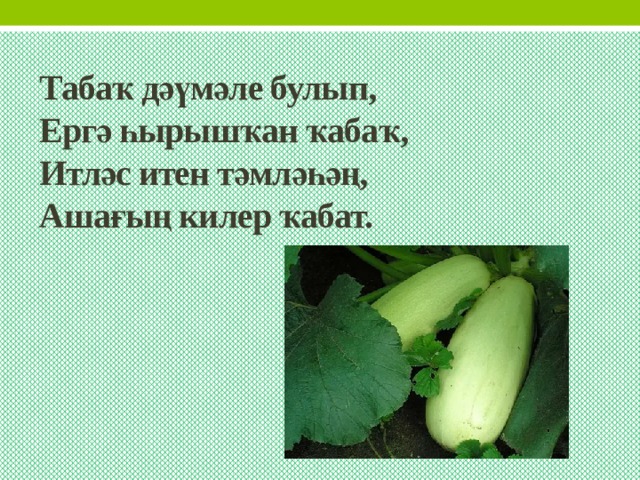 Табаҡ дәүмәле булып,  Ергә һырышҡан ҡабаҡ,  Итләс итен тәмләһәң,  Ашағың килер ҡабат. 
