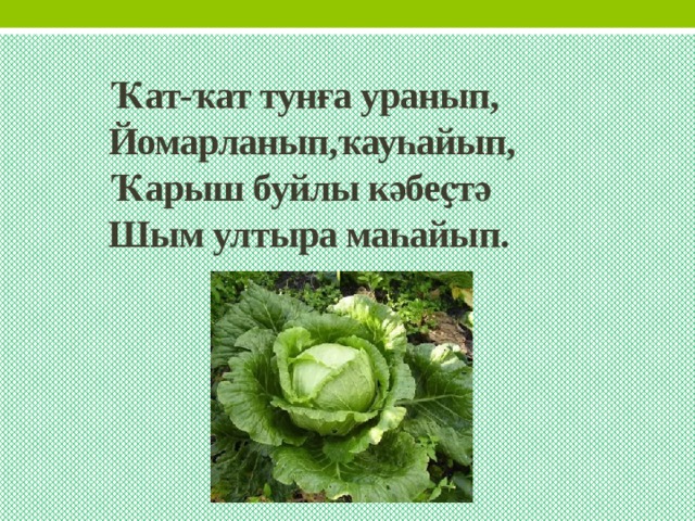 Ҡат-ҡат тунға уранып,  Йомарланып,ҡауһайып,  Ҡарыш буйлы кәбеҫтә  Шым ултыра маһайып. 