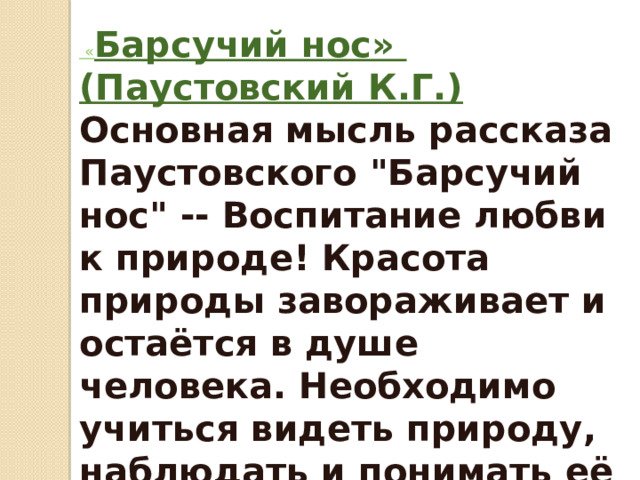 Главная мысль барсучий нос паустовский 3 класс. Барсучий нос Паустовский основная мысль. Основная мысль барсучий нос.