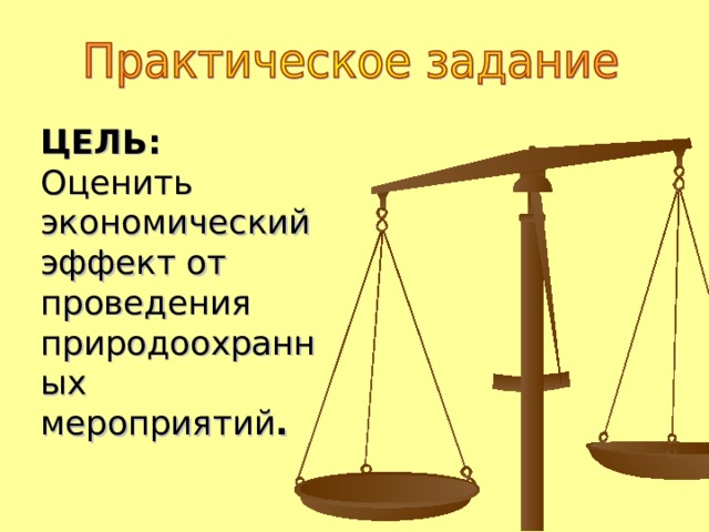 ЦЕЛЬ: Оценить экономический эффект от проведения природоохранных мероприятий .