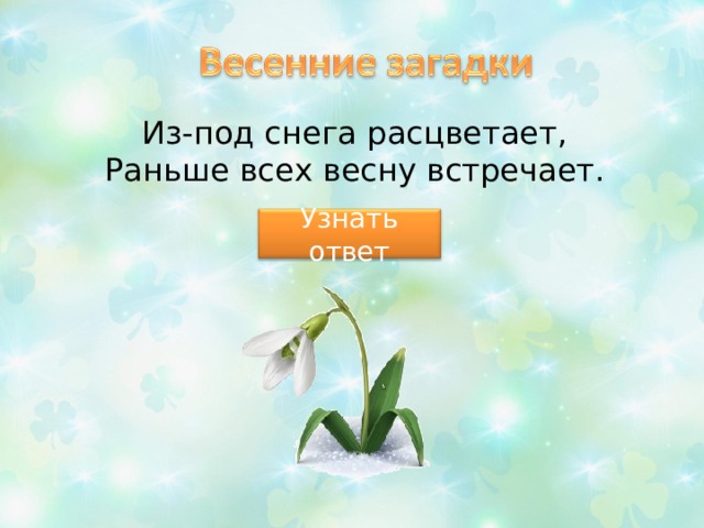 Из-под снега расцветает,  Раньше всех весну встречает. Узнать ответ 