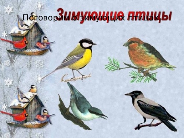 Поговорим о зимующих птицах. 