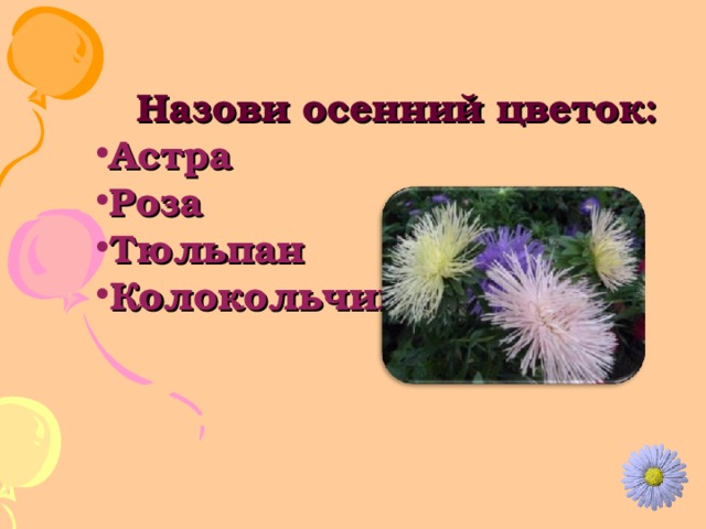Назови осенний цветок: Астра Роза Тюльпан Колокольчик 