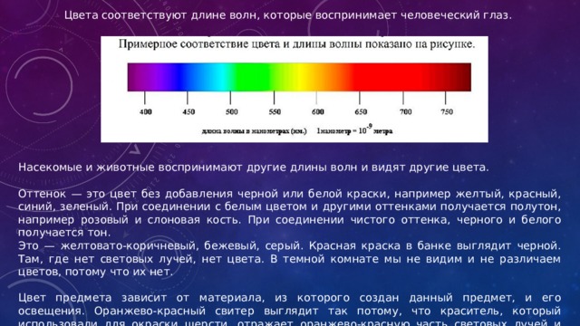 Цвета соответствуют длине волн, которые воспринимает человеческий глаз. Насекомые и животные воспринимают другие длины волн и видят другие цвета. Оттенок — это цвет без добавления черной или белой краски, например желтый, красный, синий, зеленый. При соединении с белым цветом и другими оттенками получается полутон, например розовый и слоновая кость. При соединении чистого оттенка, черного и белого получается тон. Это — желтовато-коричневый, бежевый, серый. Красная краска в банке выглядит черной. Там, где нет световых лучей, нет цвета. В темной комнате мы не видим и не различаем цветов, потому что их нет. Цвет предмета зависит от материала, из которого создан данный предмет, и его освещения. Оранжево-красный свитер выглядит так потому, что краситель, который использовали для окраски шерсти, отражает оранжево-красную часть световых лучей и поглощает фиолетово-синюю и зеленую часть спектра.   