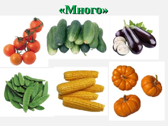 «Много» 