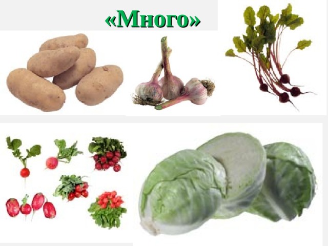 «Много» 