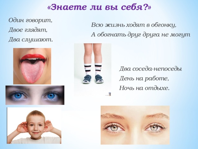 «Знаете ли вы себя?»  Один говорит, Двое глядят, Два слушают.  Всю жизнь ходят в обгонку, А обогнать друг друга не могут  Два соседа-непоседы День на работе, Ночь на отдыхе.  