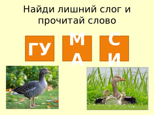 Найди лишний слог и прочитай слово ГУ МА СИ 