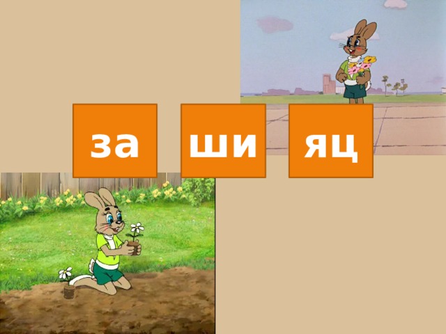 за ши яц 
