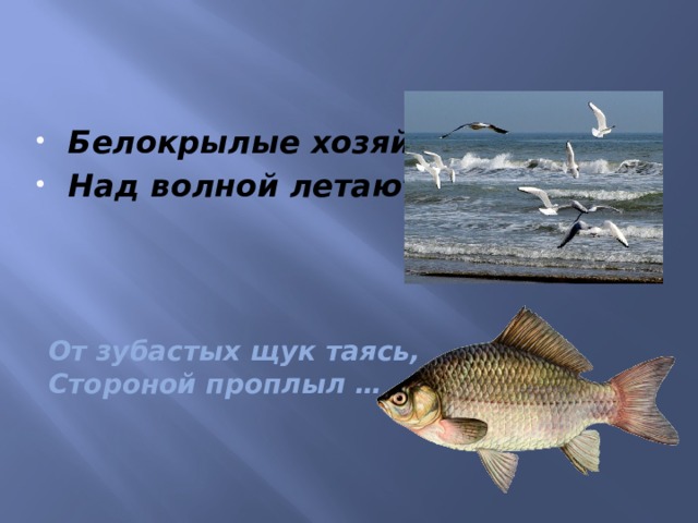 Белокрылые хозяйки Над волной летают…   От зубастых щук таясь,  Стороной проплыл …   