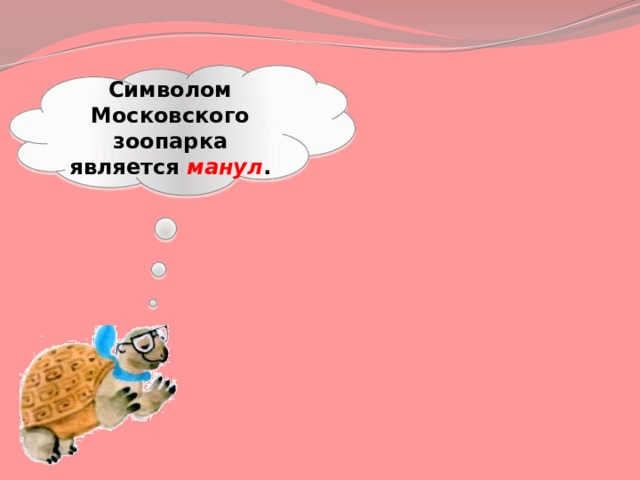 Символом Московского зоопарка является манул . 