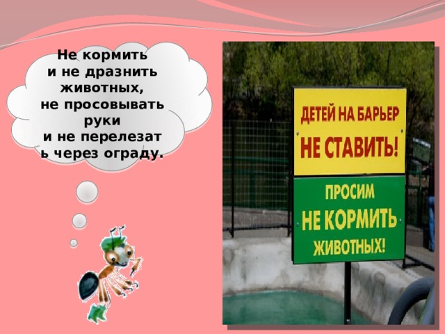 Не кормить и не дразнить животных, не просовывать руки и не перелезать через ограду. 